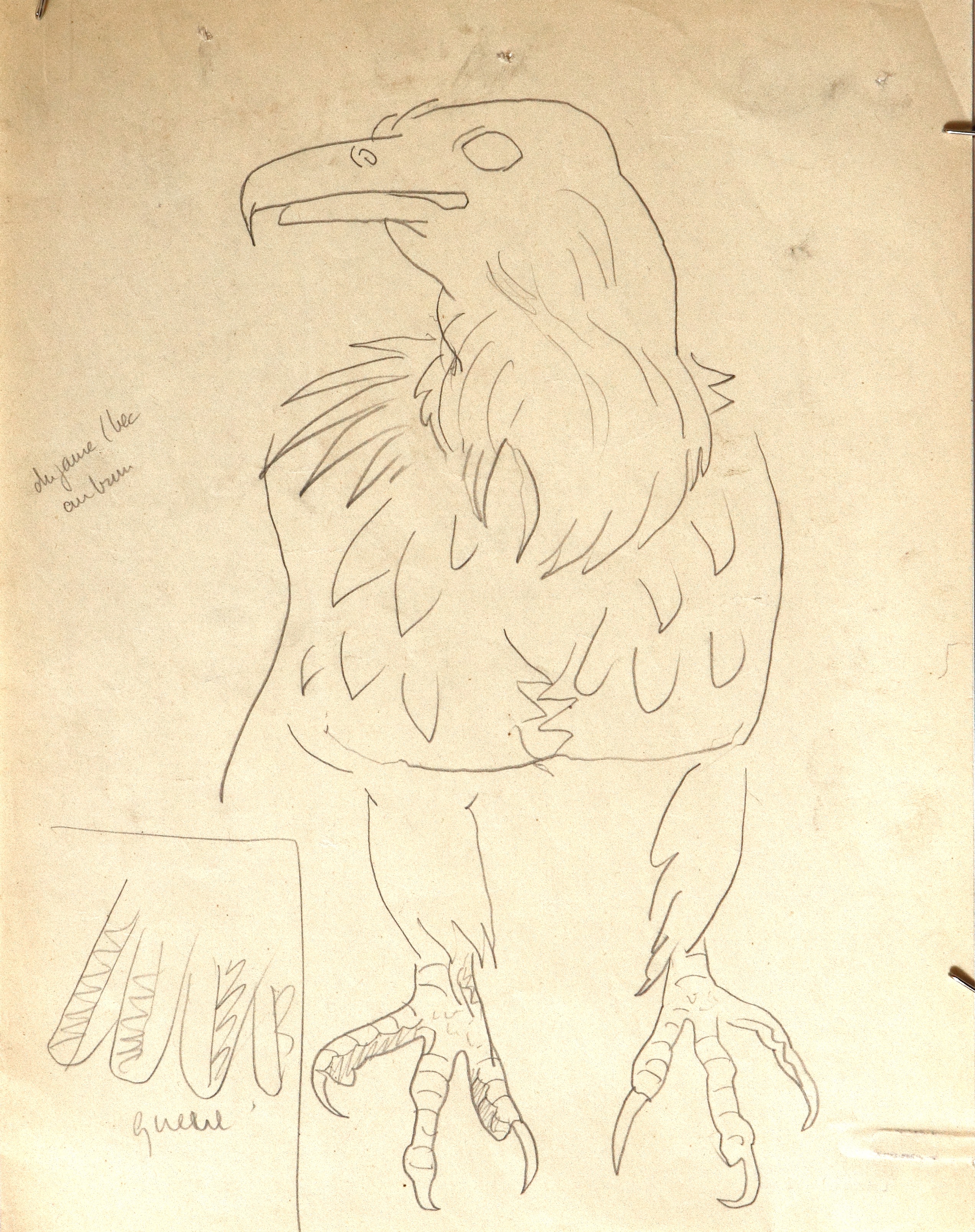 Preparatory sketch.  Shield of the National University of Mexico, with Eagle and Condor.  Jean Charlot.