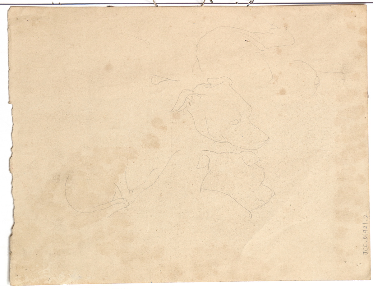 Pencil and paper.  Studies of his dog, Mousmé for L'Amitié, verso.  Jean Charlot.