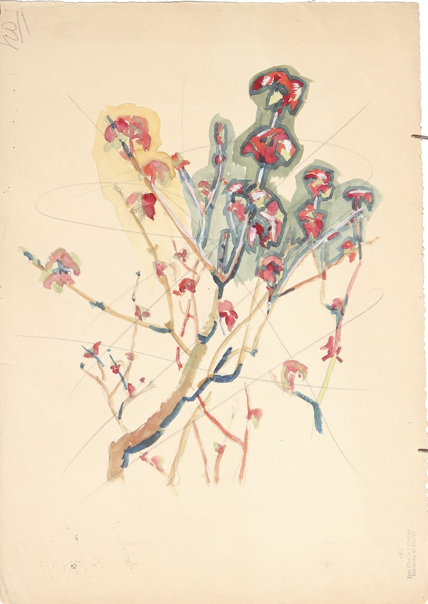 Paper.  Flowering Branches.  Jean Charlot.